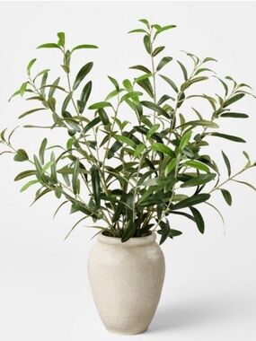 STUDIO MCGEE NWT Large Olive Leaf Arrangement